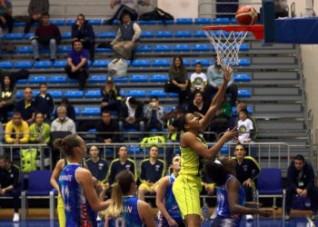 Fenerbahçe - Canik Belediye