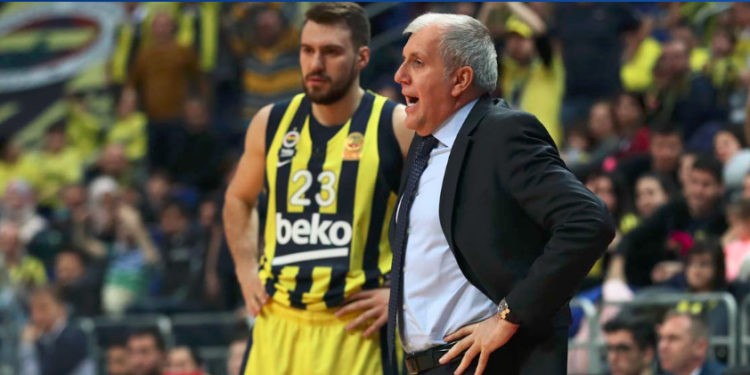 Zeljko Obradovic & Marko Guduric