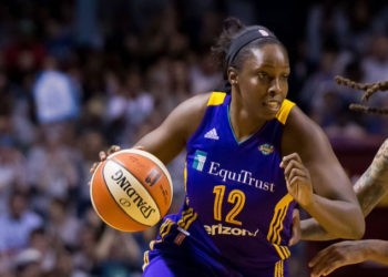 Chelsea Gray, Fenerbahçe Öznur Kablo'da