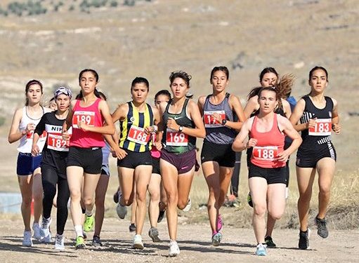 Türkiye Ferdi Kros Şampiyonası