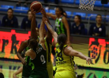 Fenerbahçe Öznur Kablo - OGM Ormanspor