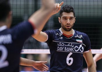 Seyed Mohammad Mousavi, Fenerbahçe HDI Sigorta'da