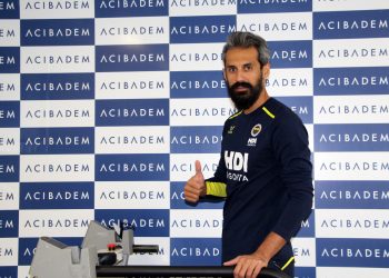 Mir Saeid Marouf Lakrani, Fenerbahçe HDI Sigorta'da