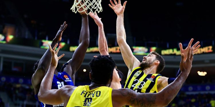 Fenerbahçe Beko - Alba Berlin