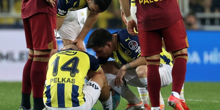 Pelkas 3-4 hafta sahalardan uzak kalacak