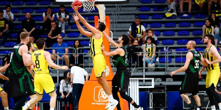 Fenerbahçe Beko - Darüşşafaka