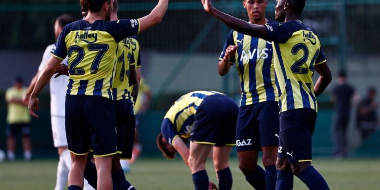 Fenerbahçe Futbol Takımı