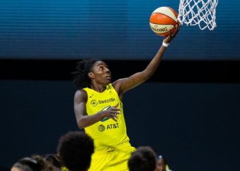 Natasha Howard, Fenerbahçe Alagöz Holding'de
