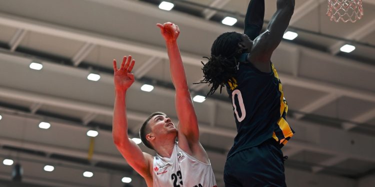 Aliağa Petkim Spor - Fenerbahçe Beko