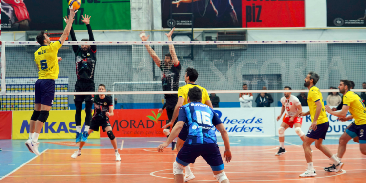 Cizre Belediyesi - Fenerbahçe HDI Sigorta