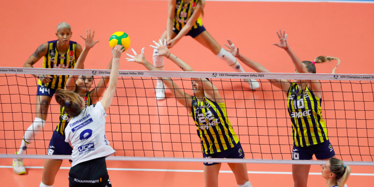 Fenerbahçe Opet - Allianz MTV Stuttgart