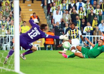 Fenerbahçe - Ludogorets