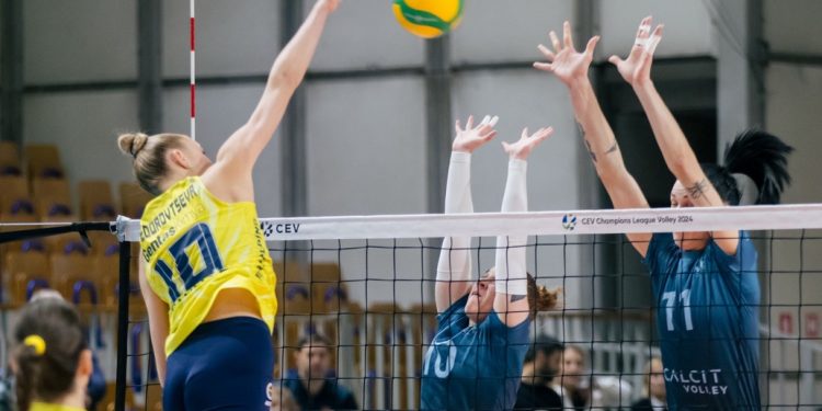 Calcit Kamnik - Fenerbahce Opet