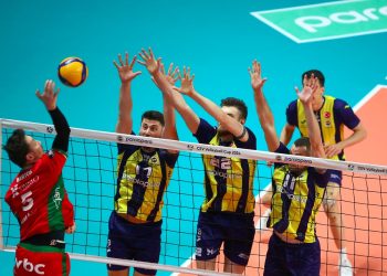 Fenerbahçe Parolapara - Greenyard Maaseik