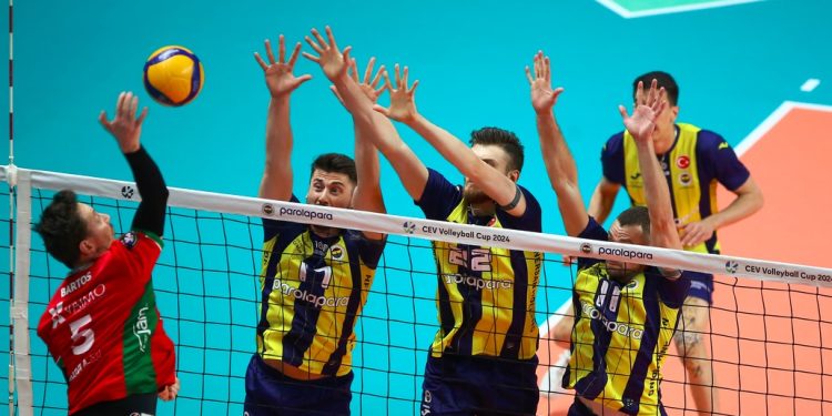 Fenerbahçe Parolapara - Greenyard Maaseik