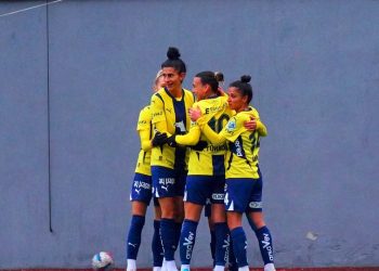 Fenerbahçe Kadın Futbol Takımı