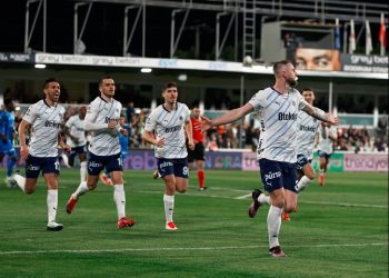 Fenerbahçe Futbol Takımı