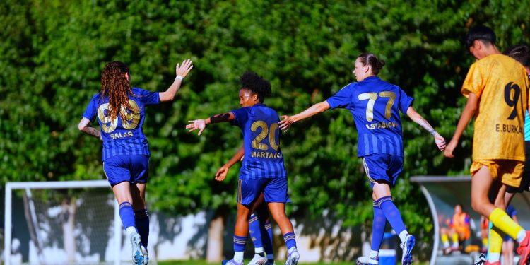 ALG Spor 0-15 Fenerbahçe ArsaVev