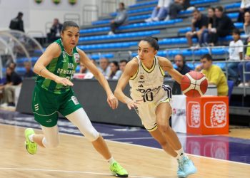 Fenerbahçe Opet - OGM Ormanspor