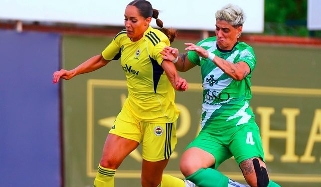 Fenerbahçe arsaVev - WFC Nike Lusso