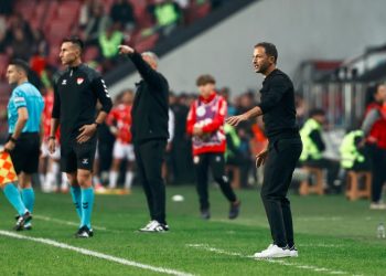 Fenerbahçe Teknik Direktörü Domenico Tedesco