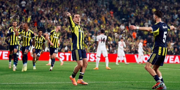 Fenerbahçe Futbol Takımı