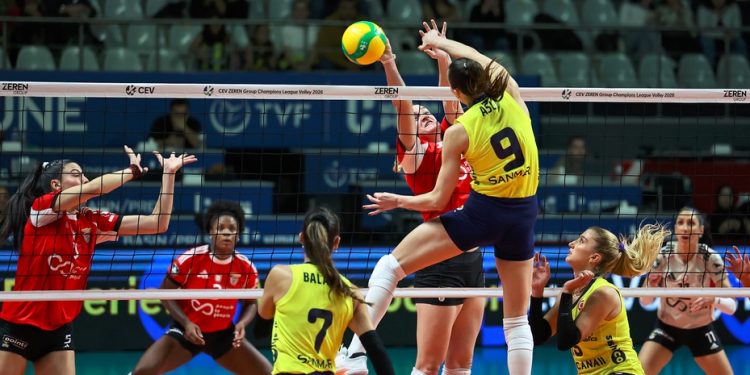 Fenerbahçe Medicana - Benfica