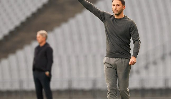 Fenerbahçe Teknik Direktörü Domenico Tedesco