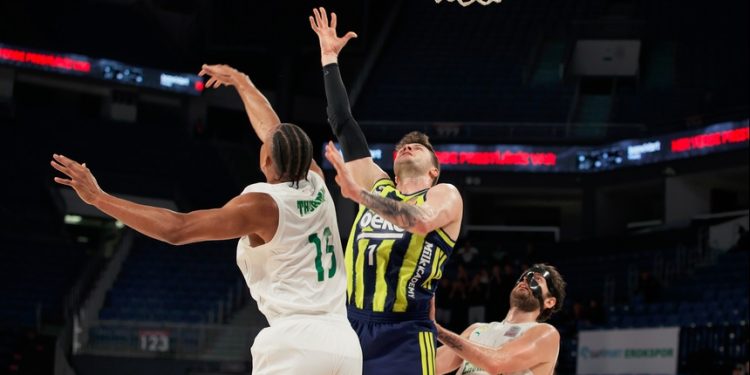 Safiport Erokspor - Fenerbahçe Beko