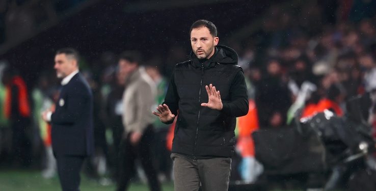 Fenerbahçe Teknik Direktörü Domenico Tedesco