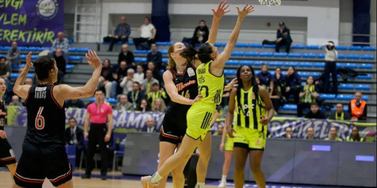 Fenerbahçe Opet - Çimsa ÇBK Mersin