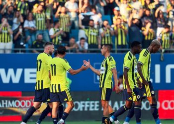 Fenerbahçe Futbol Takımı